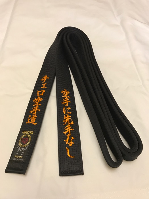 (image for) Hirota Belt B-601 Special Silk Black Belt